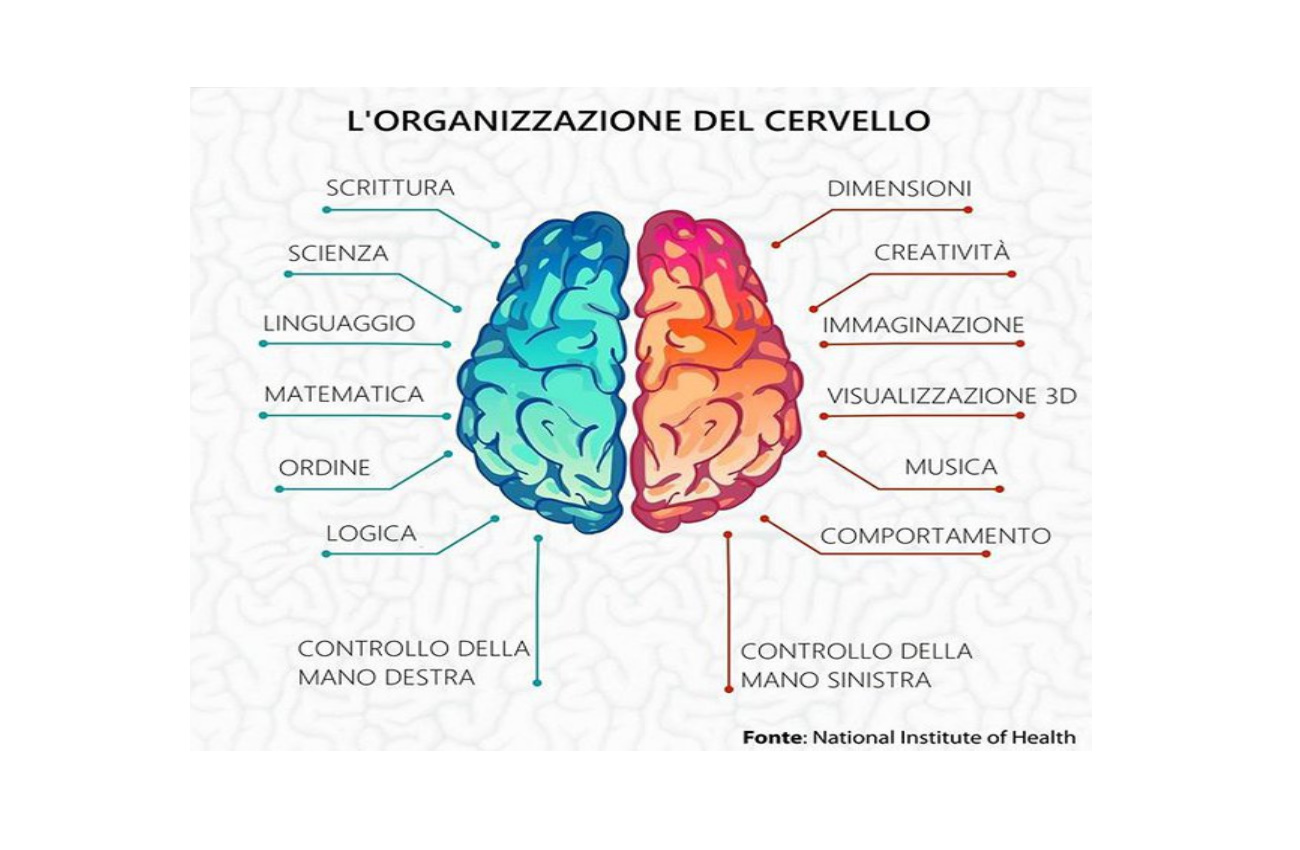 DUALITA’ DELL’ENCEFALO E ALTA SENSIBILITA’